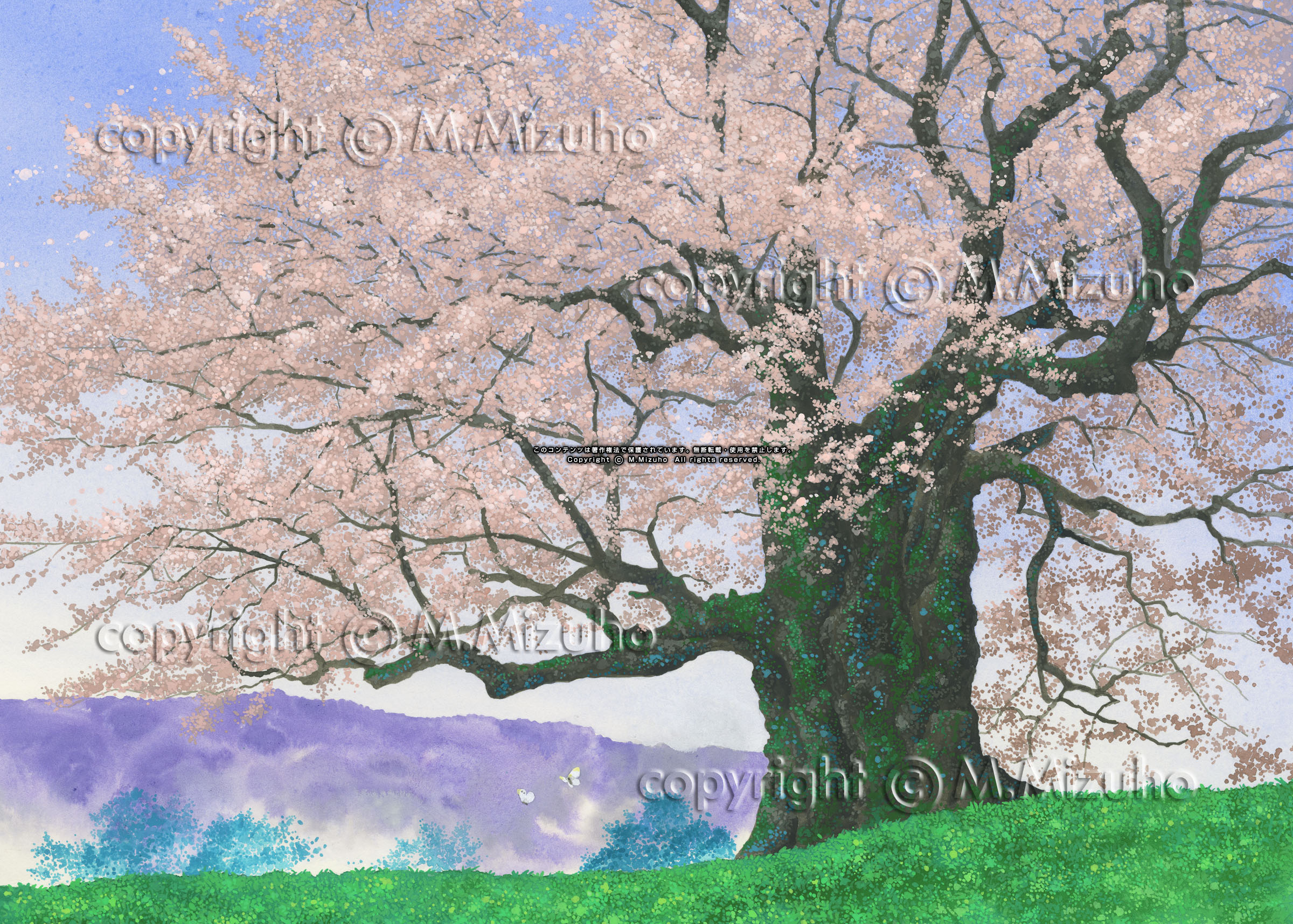 一本桜 春の桜の自然イラスト